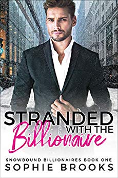Stranded with the Billionaire (Snowbound Billionaires Book 1)